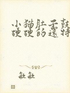 小猫肚子鼓鼓的硬硬的还特别能吃