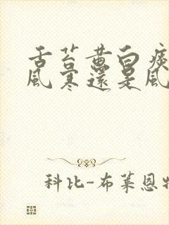 舌苔黄白痰 是风寒还是风热