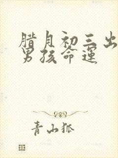 腊月初三出生的男孩命运