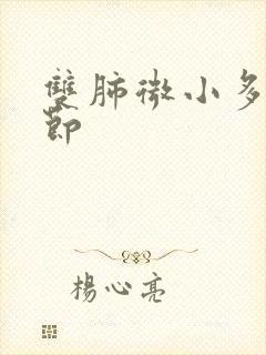 双肺微小多发结节