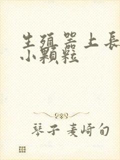 生殖器上长一圈小颗粒