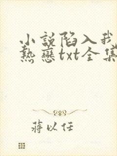 小说陷入我们的热恋txt全集免费下载