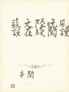 苏文陆晚风的小说在线阅读