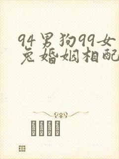 94男狗99女兔婚姻相配好吗