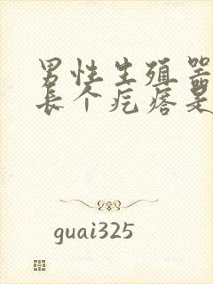 男性生殖器边上长个疙瘩是怎么回事