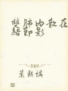 双肺内散在微小结节影封面