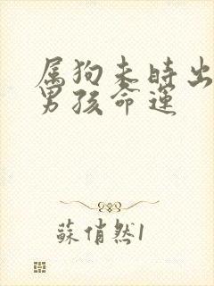 属狗未时出生的男孩命运