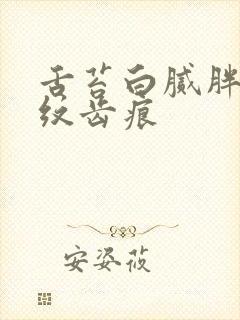 舌苔白腻胖大裂纹齿痕