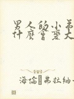 男人的小弟弟为什么会变大