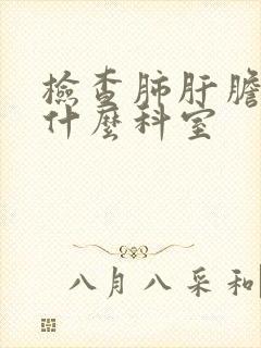 检查肺肝胆脾挂什么科室