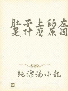 肚子上的左边疼是什么原因封面