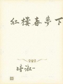 红楼春梦下载