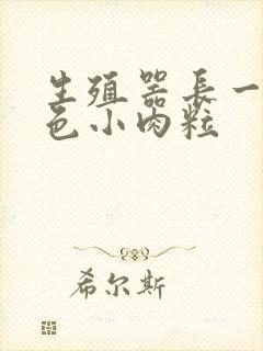 生殖器长一排白色小肉粒封面