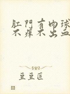 肛门有肉球不痛不痒不出血