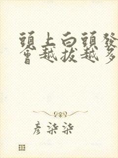 头上白头发会不会越拔越多