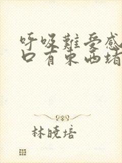 呼吸难受感觉胸口有东西堵着封面