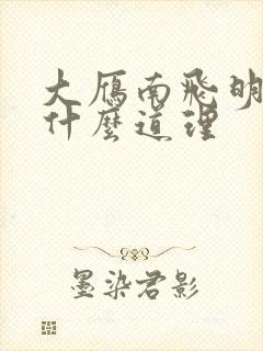 大雁南飞明白了什么道理封面