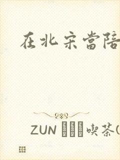在北宋当陪房封面
