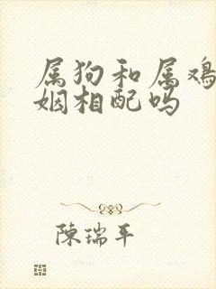 属狗和属鸡的婚姻相配吗封面