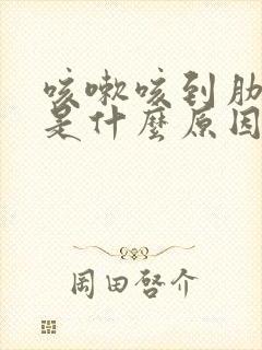 咳嗽咳到肋骨疼是什么原因