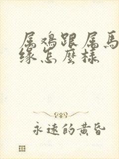 属鸡跟属马的姻缘怎么样