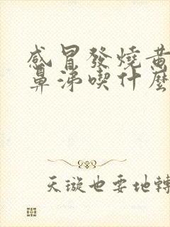 感冒发烧黄痰黄鼻涕吃什么药封面