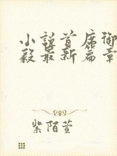 小说首席御医曾毅最新篇章封面