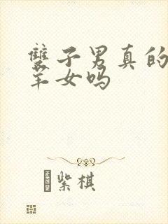 双子男真的爱白羊女吗