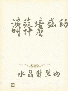 演苏培盛的演员叫什么