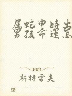 属蛇申时出生的男孩命运怎么样