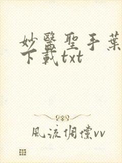 妙医圣手叶皓轩下载txt封面