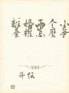 离婚两个小孩抚养权怎么争取