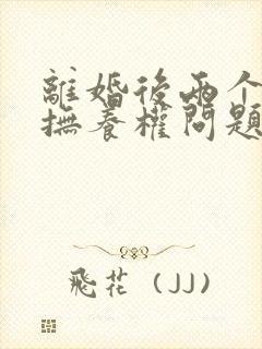 离婚后两个孩子抚养权问题