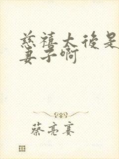 慈禧太后是谁的妻子啊