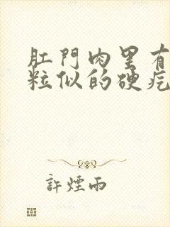 肛门肉里有个米粒似的硬疙瘩