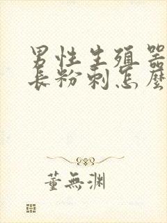 男性生殖器上老长粉刺怎么回事