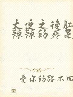 大便之后肛门火辣辣的疼是怎么回事