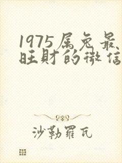 1975属兔最旺财的微信名