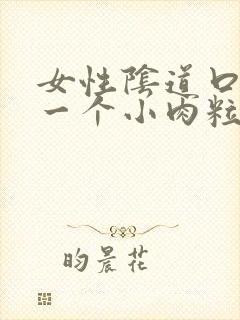 女性阴道口长了一个小肉粒封面