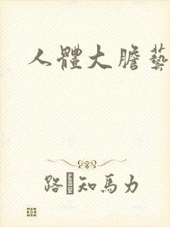 人体大胆艺木封面