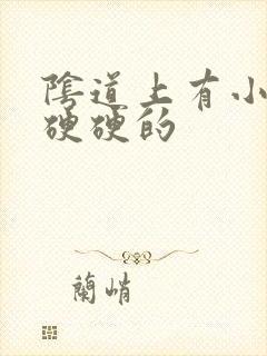 阴道上有小疙瘩硬硬的