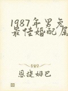 1987年男兔最佳婚配属相