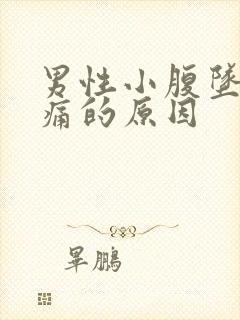 男性小腹坠胀疼痛的原因封面