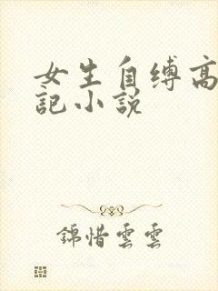 女生自缚高潮日记小说封面