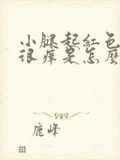 小腿起红色疙瘩很痒是怎么回事