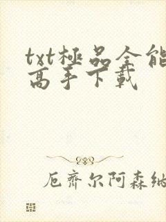 txt极品全能高手下载