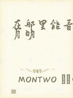 在哪里能看山河月明封面