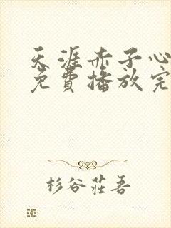 天涯赤子心全集免费播放完整版封面