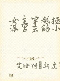 女主穿越拯救反派男主的小说