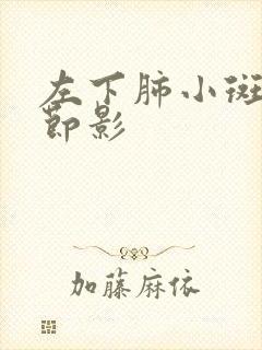 左下肺小斑点结节影封面